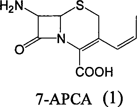 Method of preparing cefprozil parent nucleus 7-amino-3-propenylcephalosporanic acid