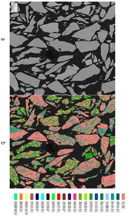 Method and application of rapid quantitative analysis of clay minerals in glutenite cutting matrix