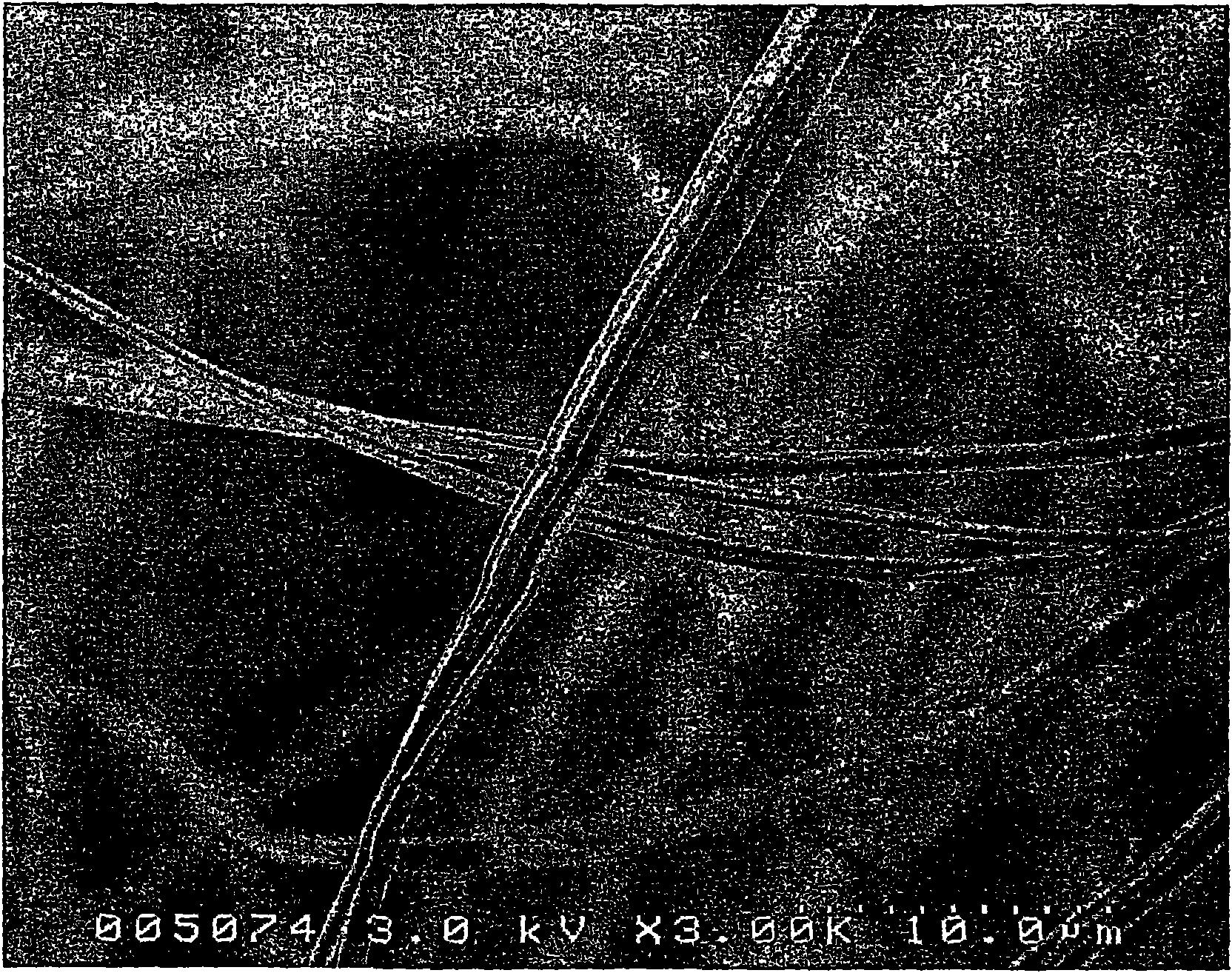 Polyethylenimine nanoparticle-containing microbicidal electrospun polymer fibers for textile applications