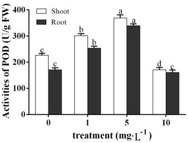 A method for increasing the content of notoginseng in Panax notoginseng