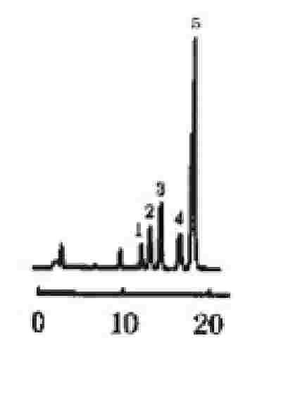 Method for separating and purifying coptisine monomers