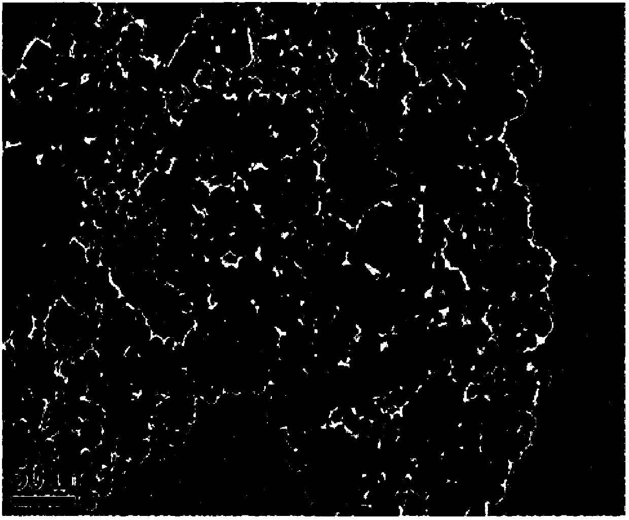 Preparation method of nano Fe3O4 powder for preparation of nano dielectric medium through compounding with polyethylene