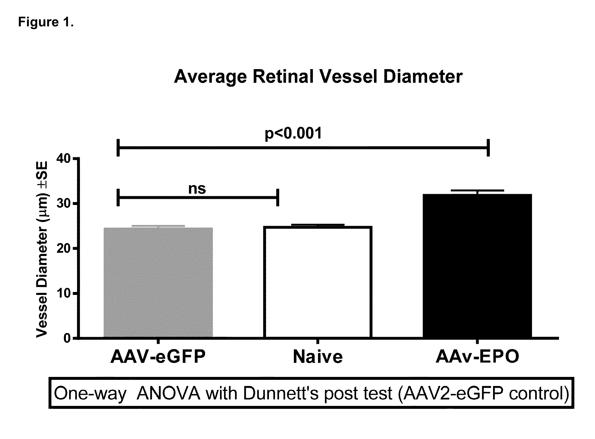 Compositions and methods for antibodies targeting EPO