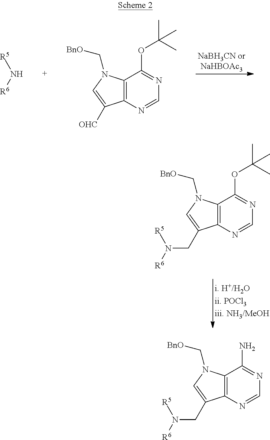 Acyclic amine inhibitors of 5-methytioadenosine phosphorylase and nucleosidase