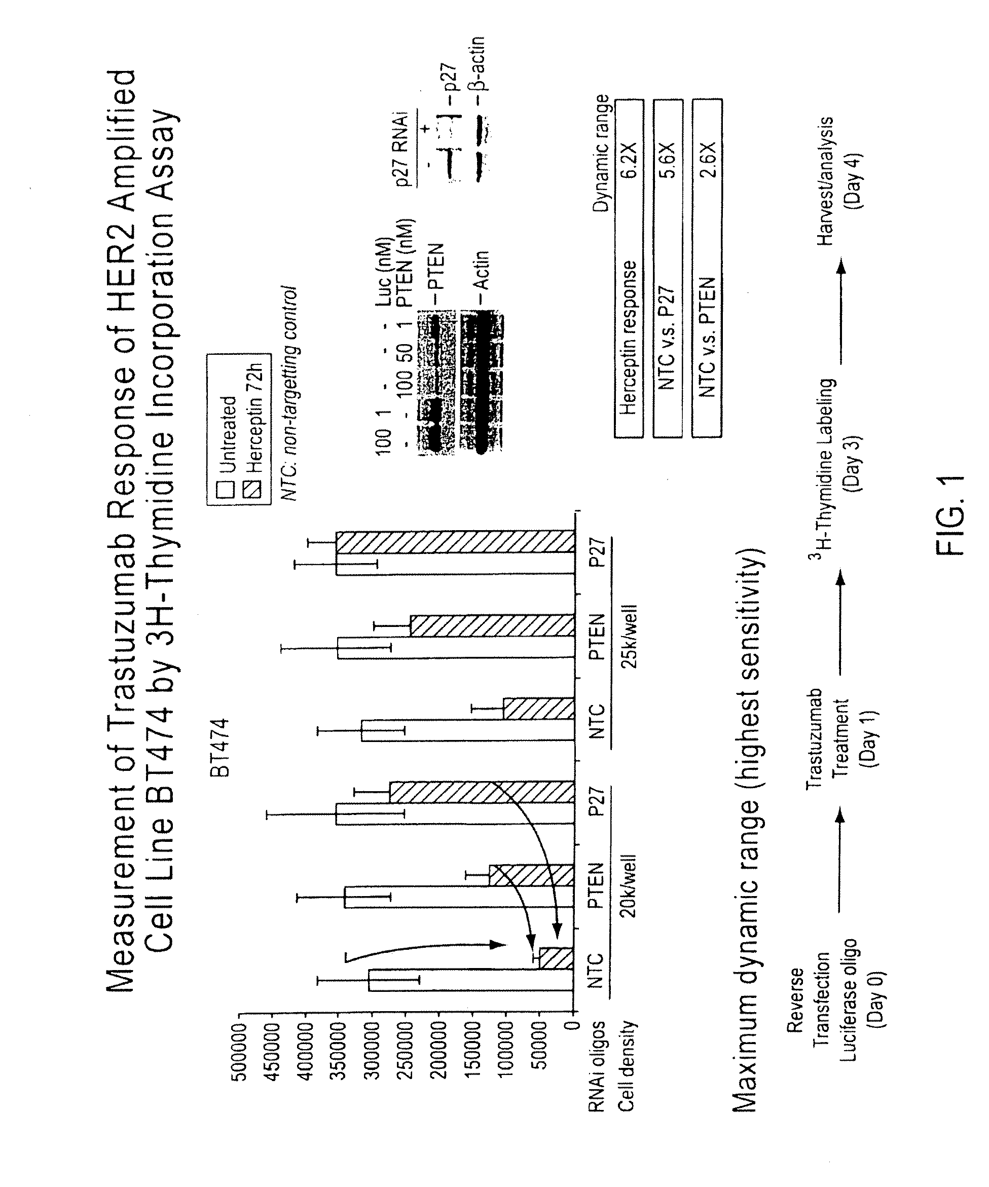 Gene expression markers of tumor resistance to her2 inhibitor treatment