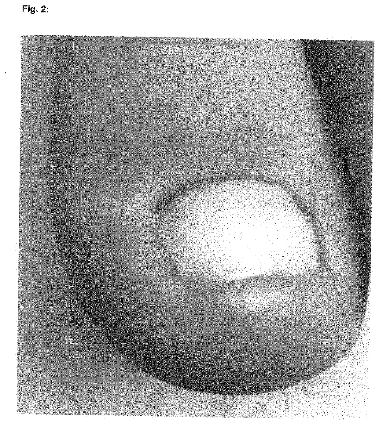 Light-curing compositions for treating onychomycosis (fungal nail infection)