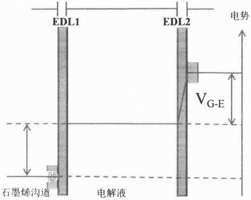 Graphene transistor lead ion sensor and preparation method thereof