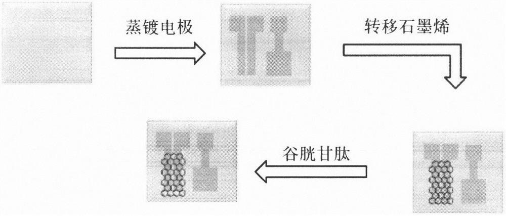 Graphene transistor lead ion sensor and preparation method thereof