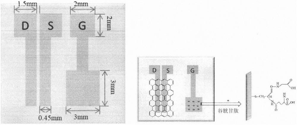 Graphene transistor lead ion sensor and preparation method thereof