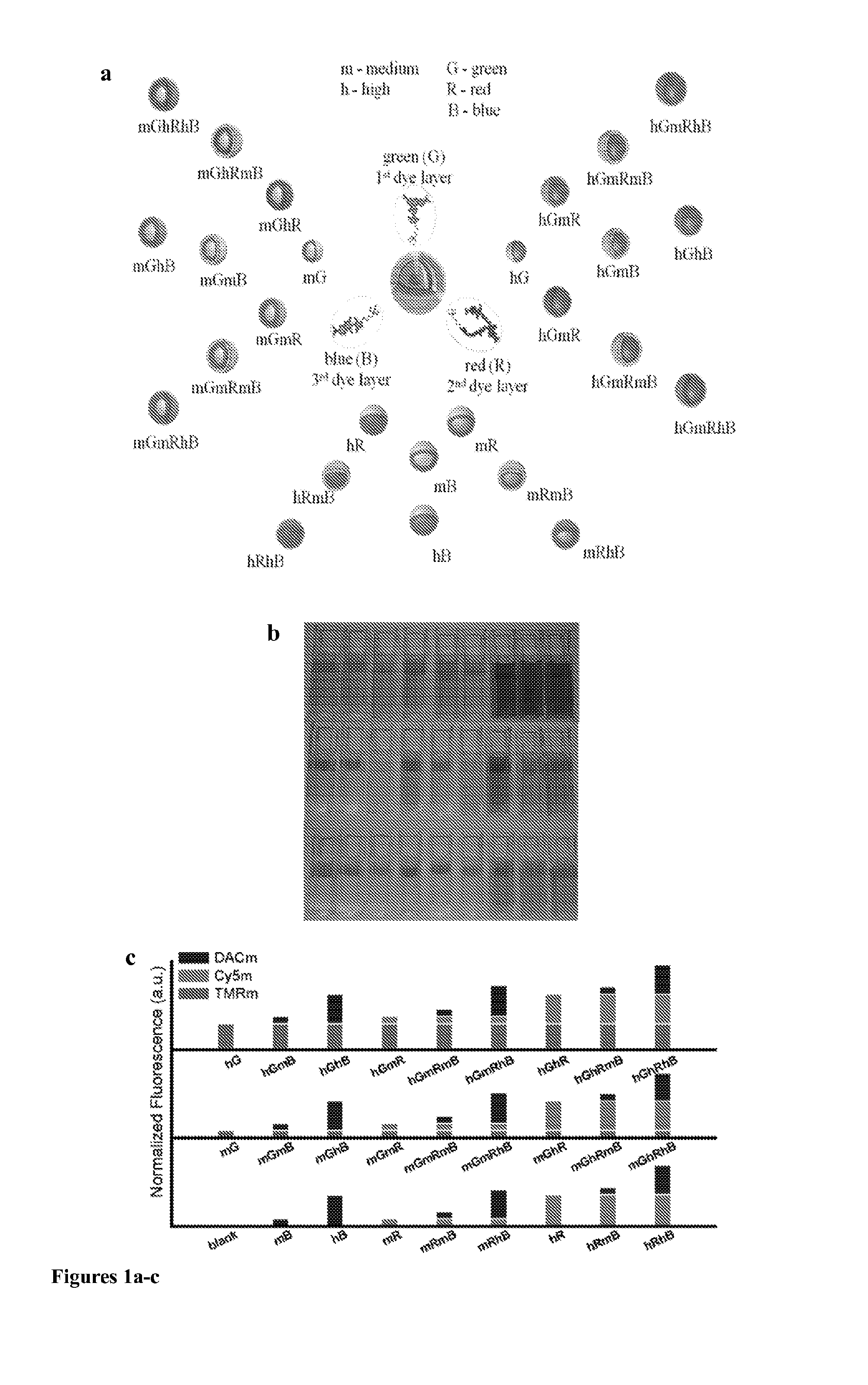 Multilayer fluorescent nanoparticles and methods of making and using same