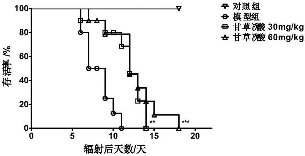 Application of glycyrrhetinic acid in preparation of anti-radiation product