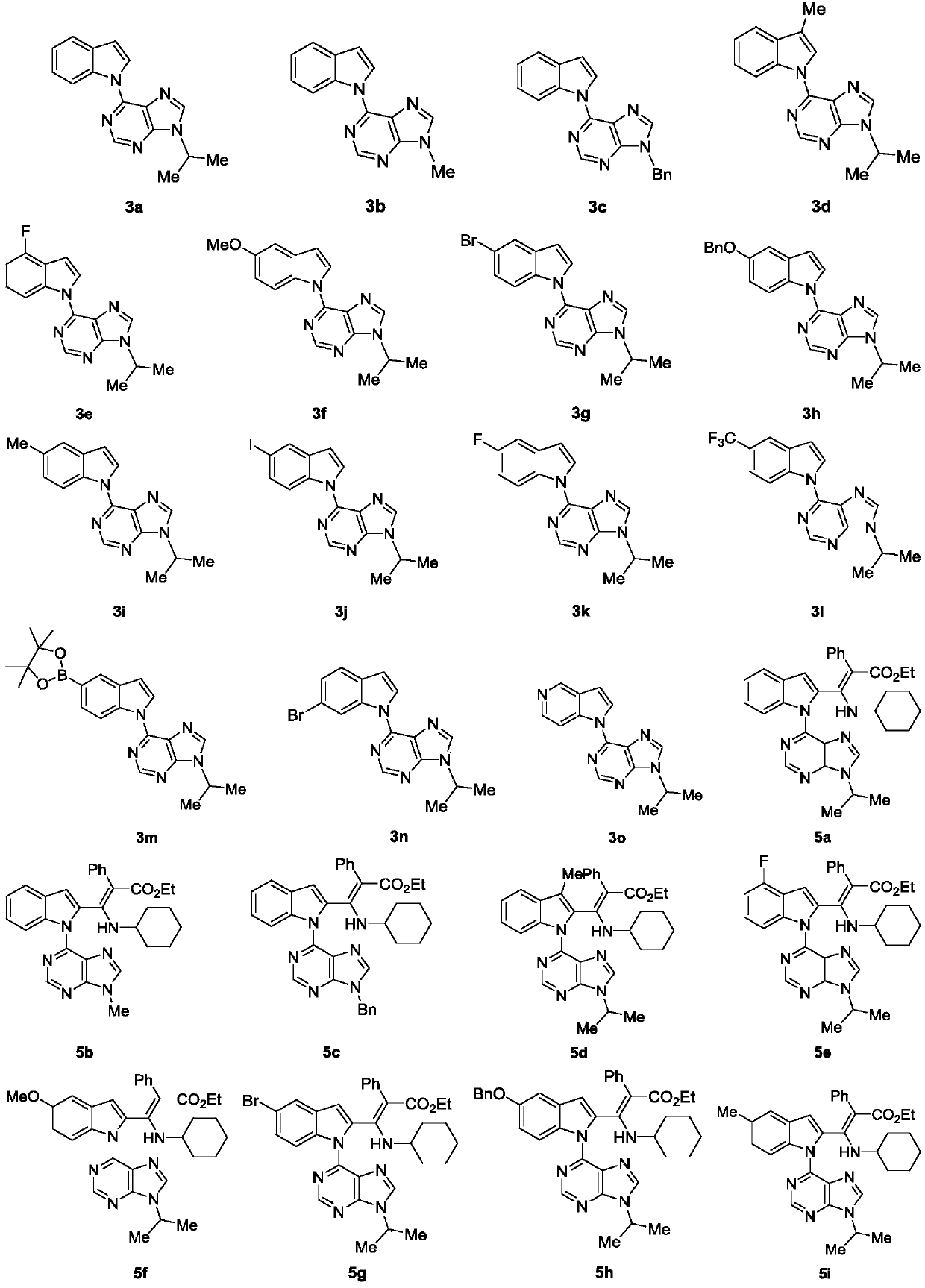 Indole compound and application and preparation method thereof