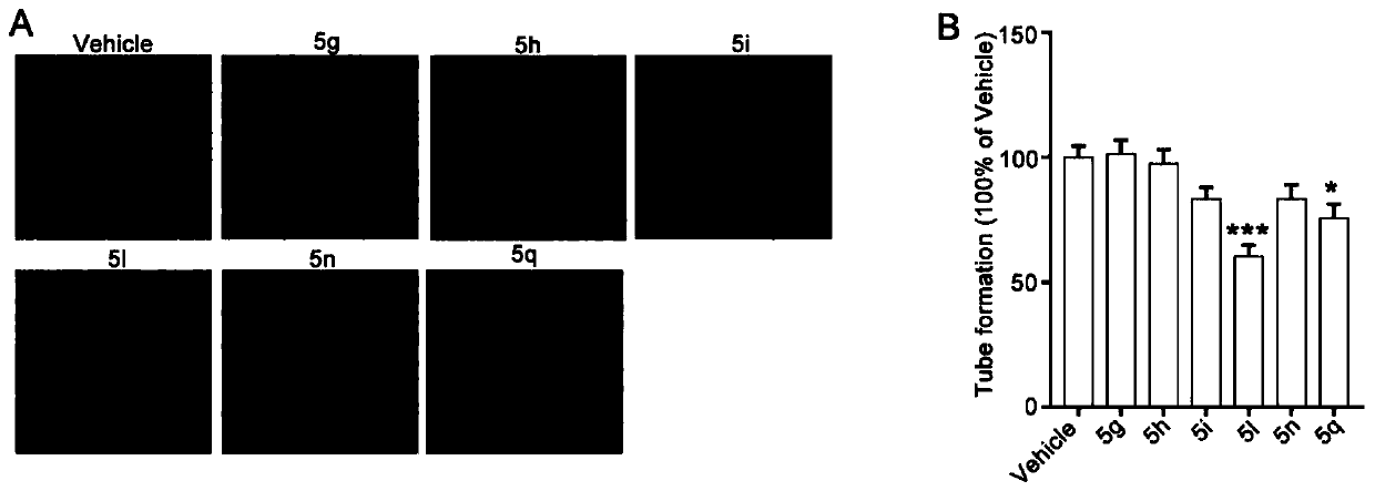 Indole compound and application and preparation method thereof