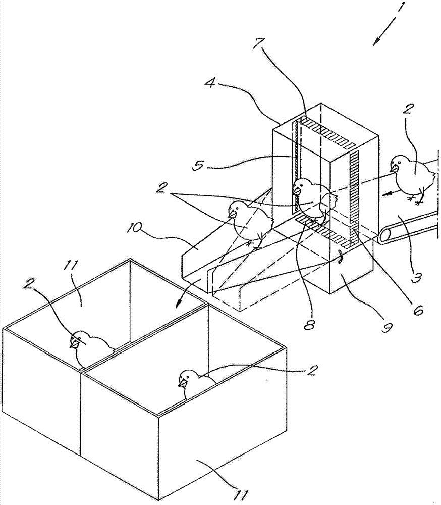 Device for determining weight and number of chick and sorting device comprising the same