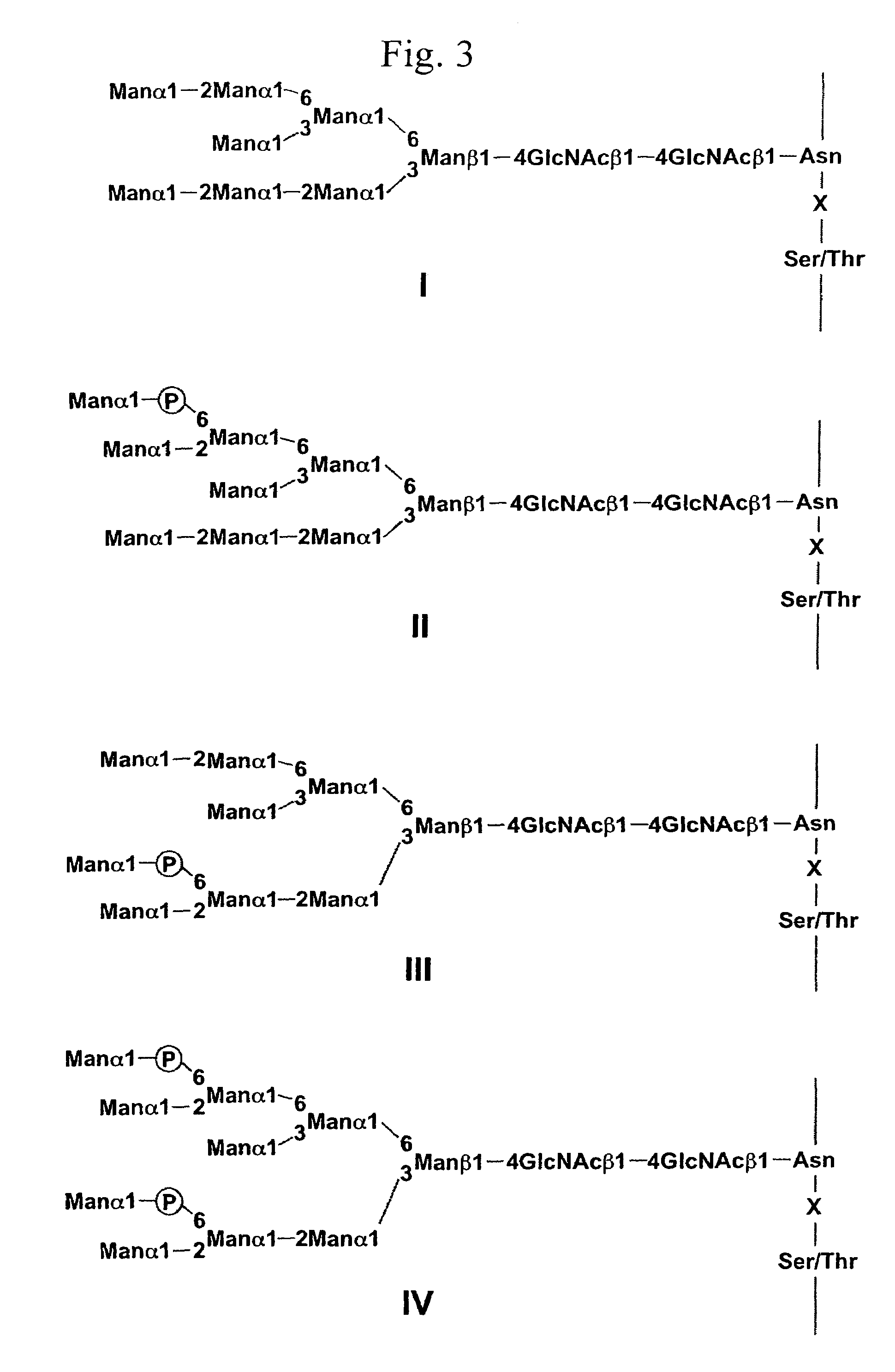 Glycoprotein and process for producing the same