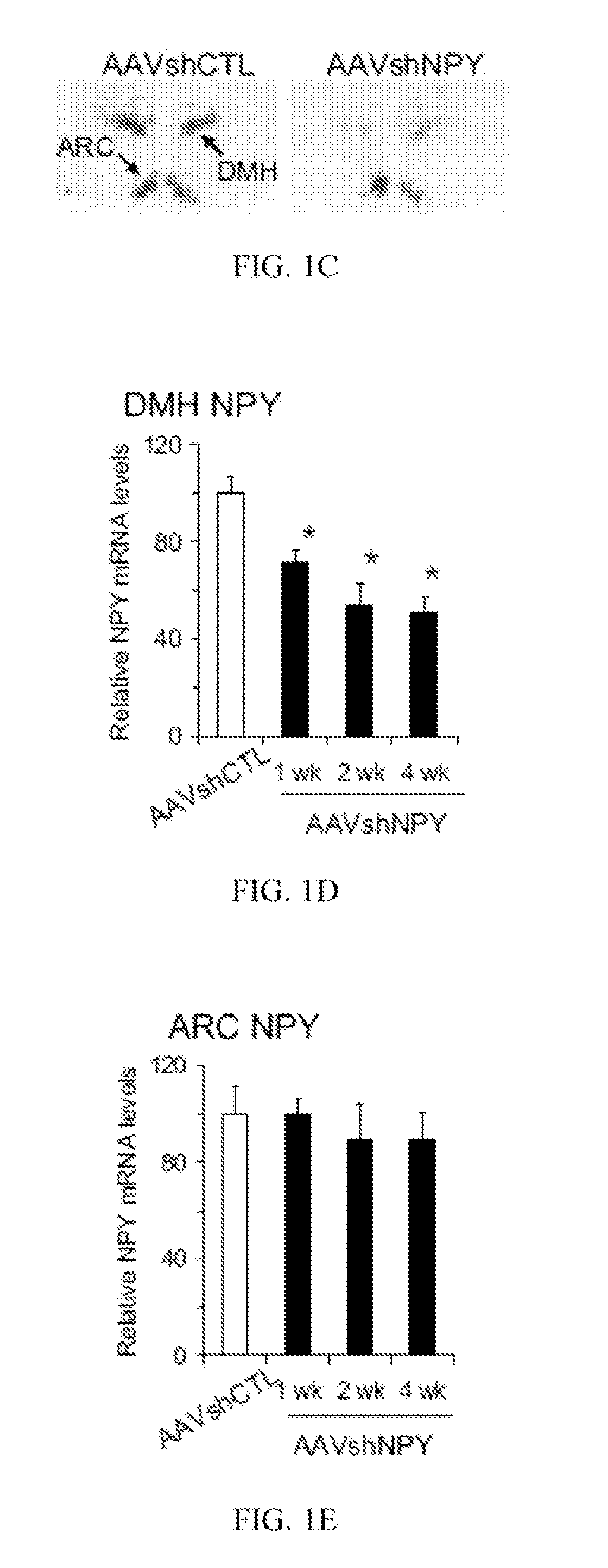 Compositions and methods for treating obesity