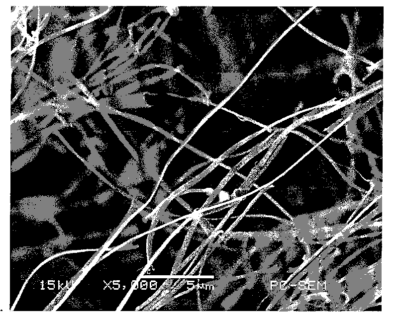 Chitosan nanofibre and preparation method and application thereof