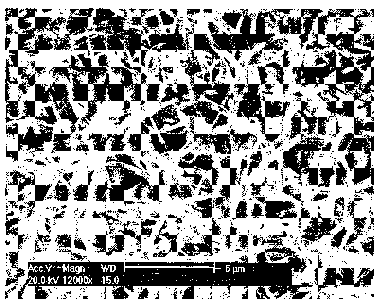 Chitosan nanofibre and preparation method and application thereof