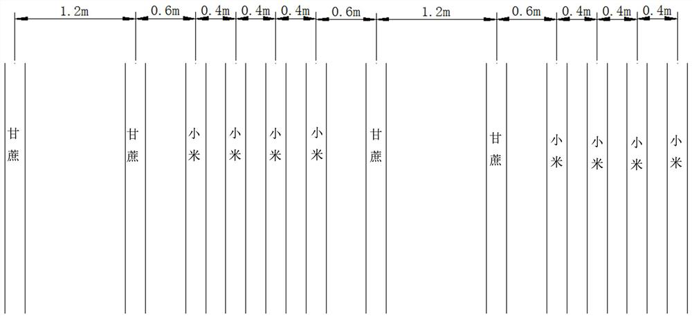 A method for crop rotation and intercropping of sugarcane, silage corn and millet