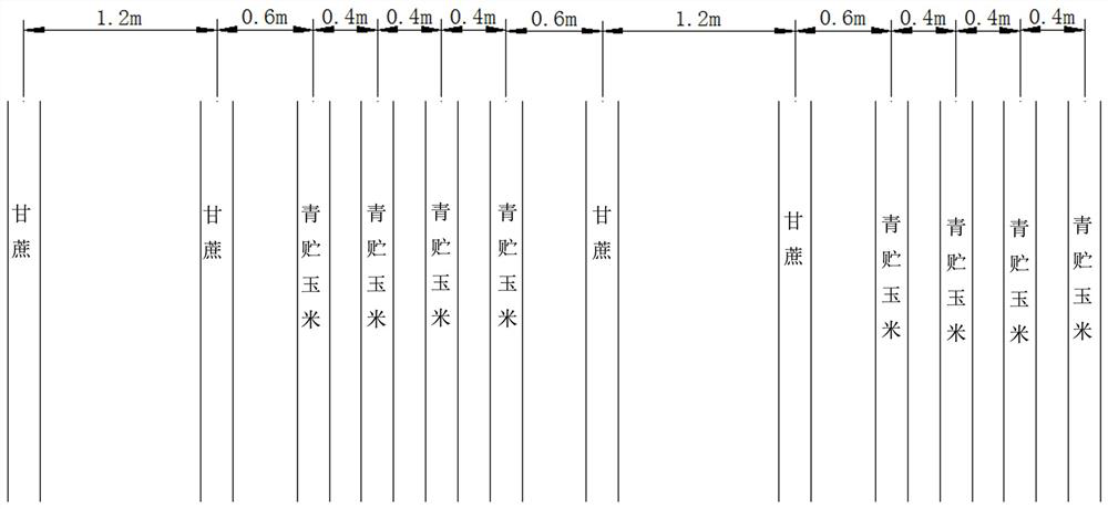 A method for crop rotation and intercropping of sugarcane, silage corn and millet