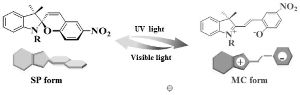 Photochromic fluorescent oily ink and preparation method thereof