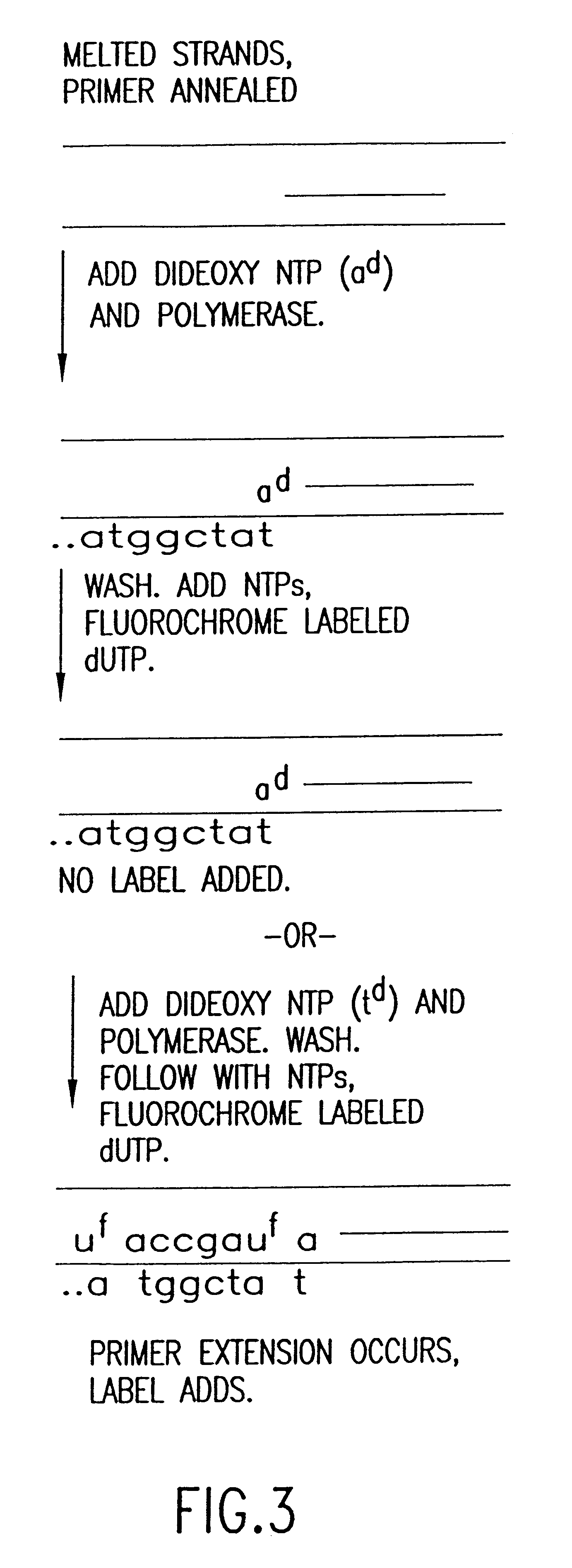 Method for analyzing nucleic acid reactions