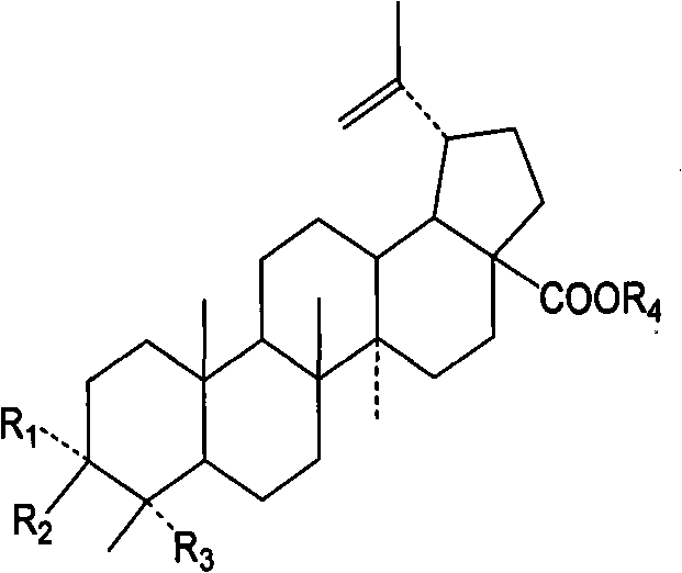 Method for preparing anti-cancer total saponin extracts of oplopanax elatus nakai leaves