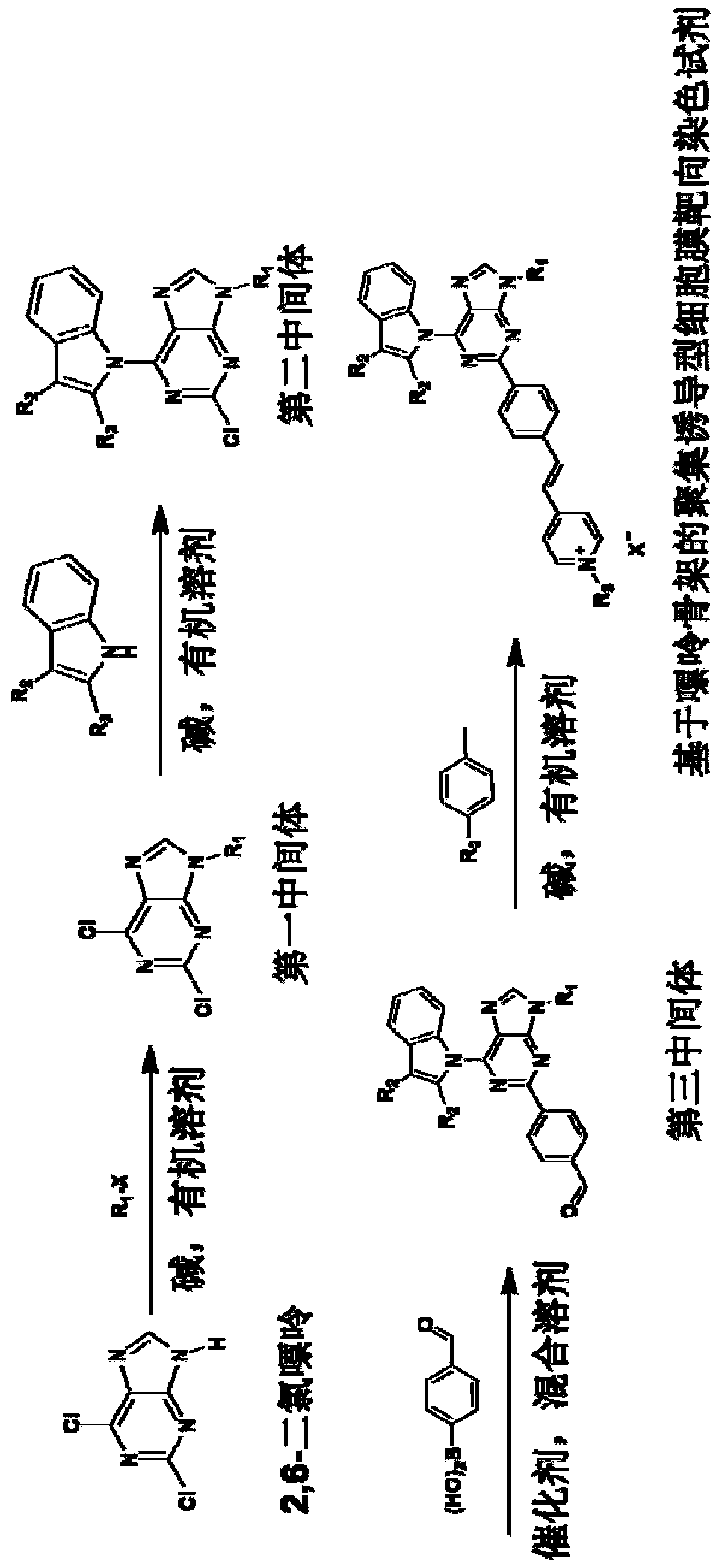 No-clean aggregation-induced cell membrane targeted dyeing reagent based on purine skeleton, preparation method and application thereof
