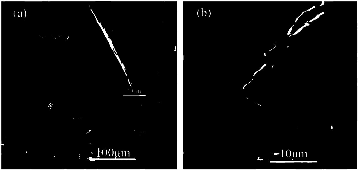 A kind of preparation method and product of coated modified flake fesial absorbent