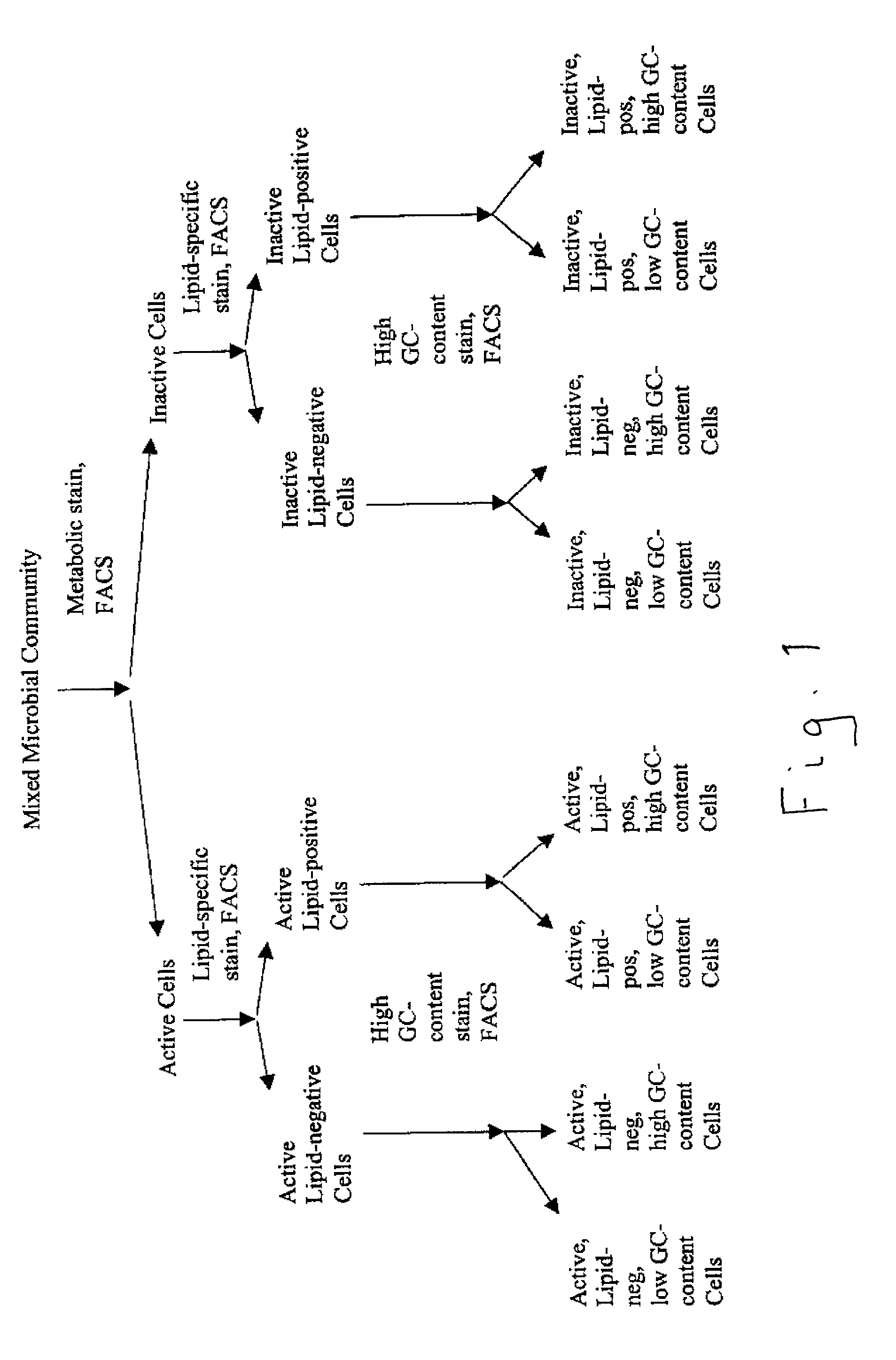 Application of bioinformatics for direct study of unculturable microorganisms