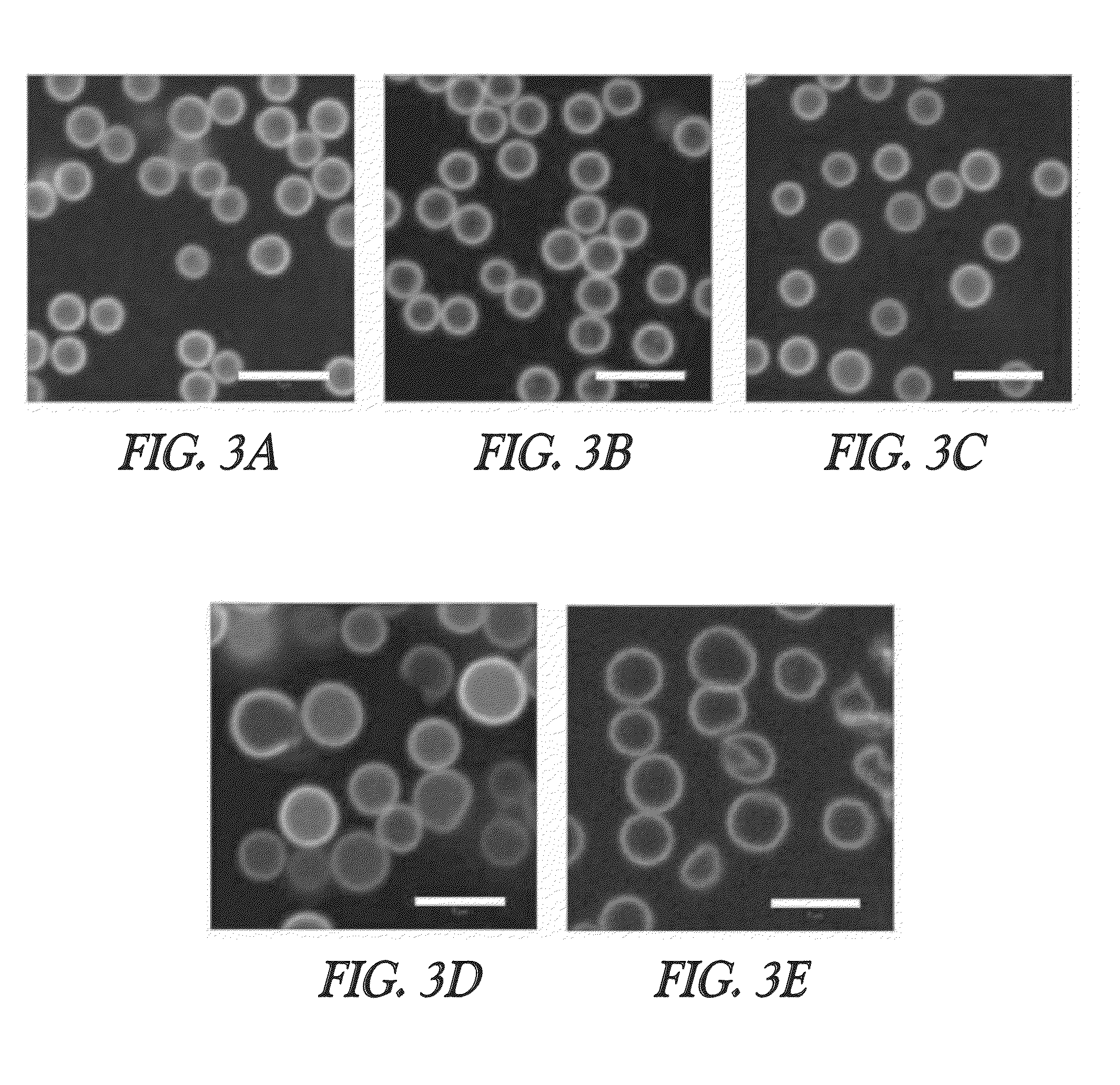 Hollow hydrogel capsules and methods of using the same