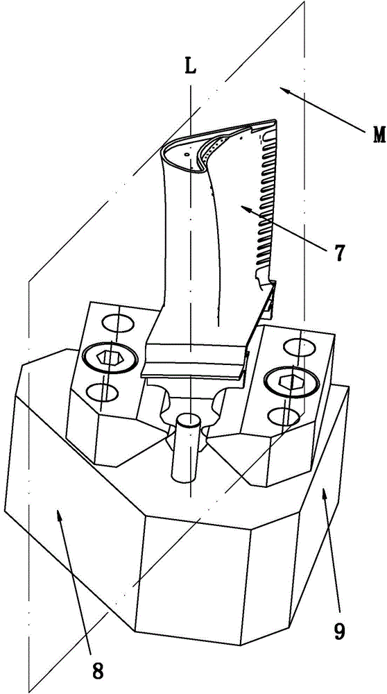 Radiographic inspection positioning device for large-curvature hollow blades