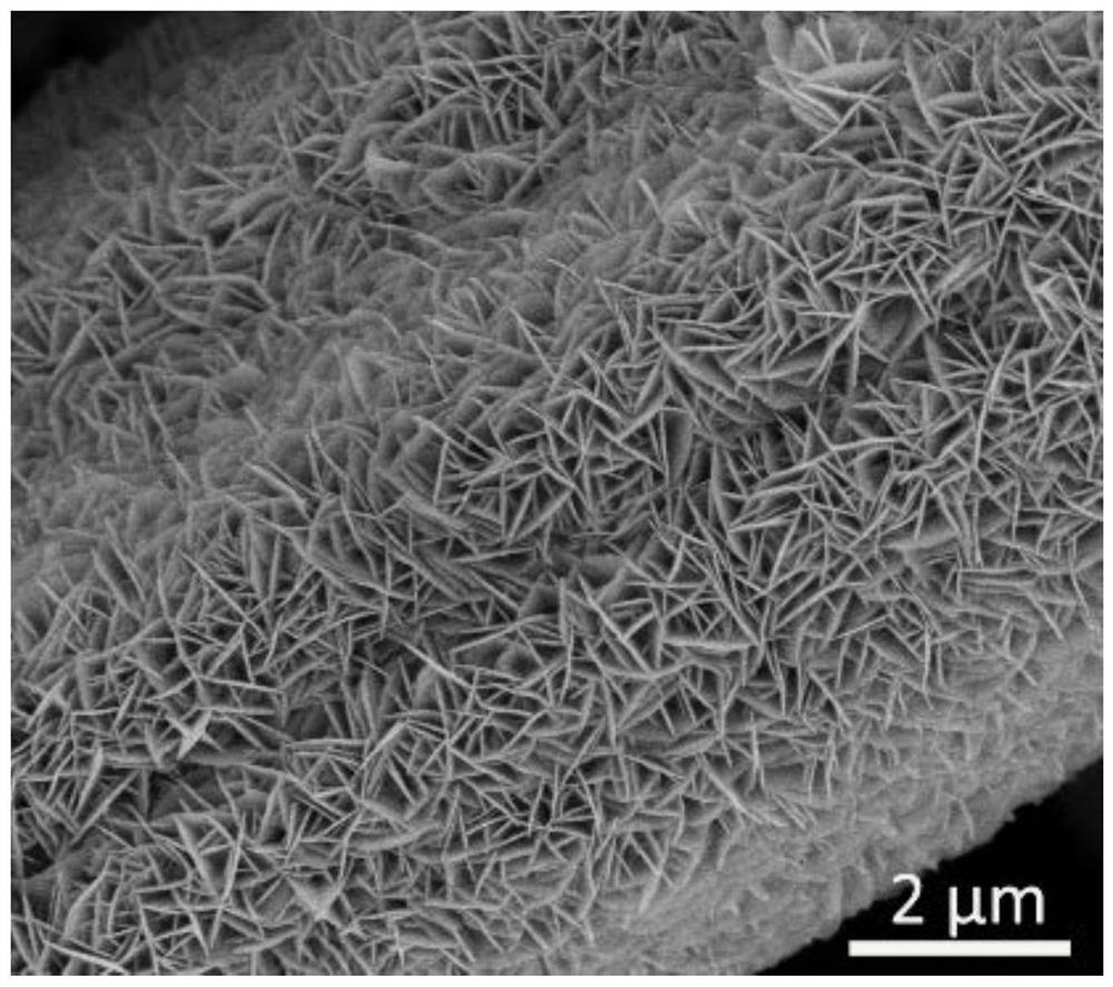 Flexible supercapacitor based on carbon cloth-supported nickel sulfide-molybdenum sulfide heterogeneous nanosheet array structure and preparation method thereof