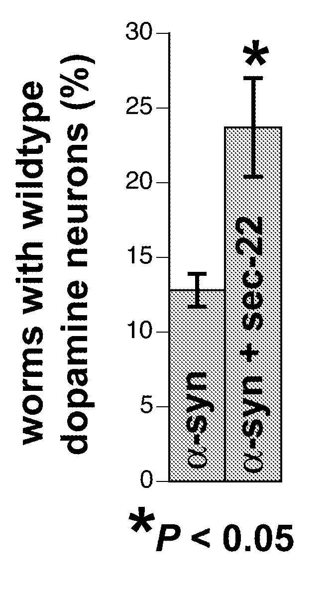 Regulators of protein misfolding and neuroprotection and methods of use