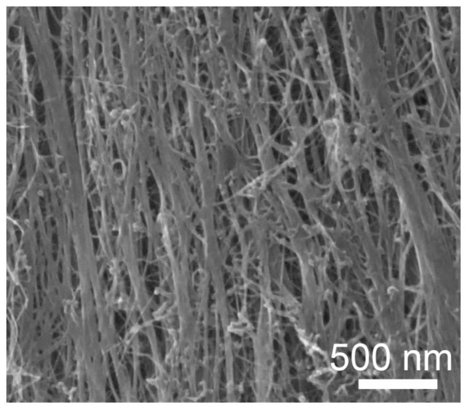 A kind of high-performance carbon nanotube/carbon composite fiber and its rapid preparation method