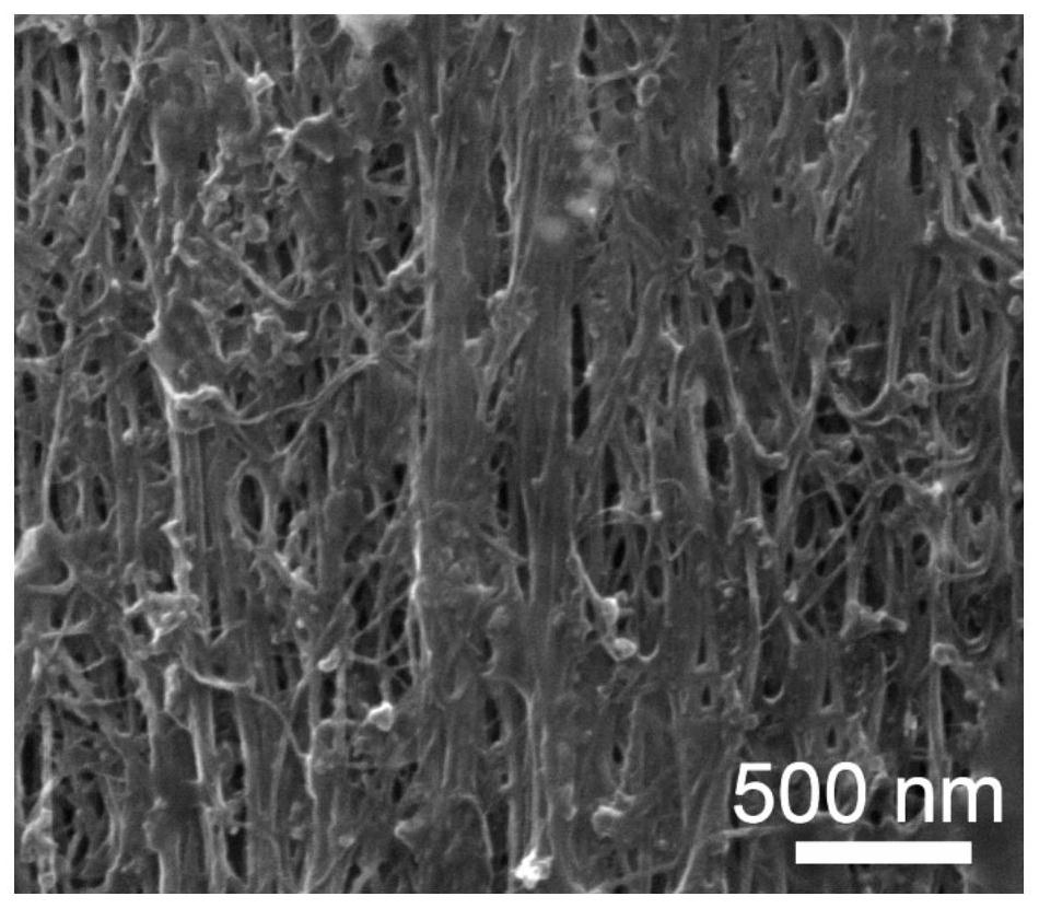 A kind of high-performance carbon nanotube/carbon composite fiber and its rapid preparation method