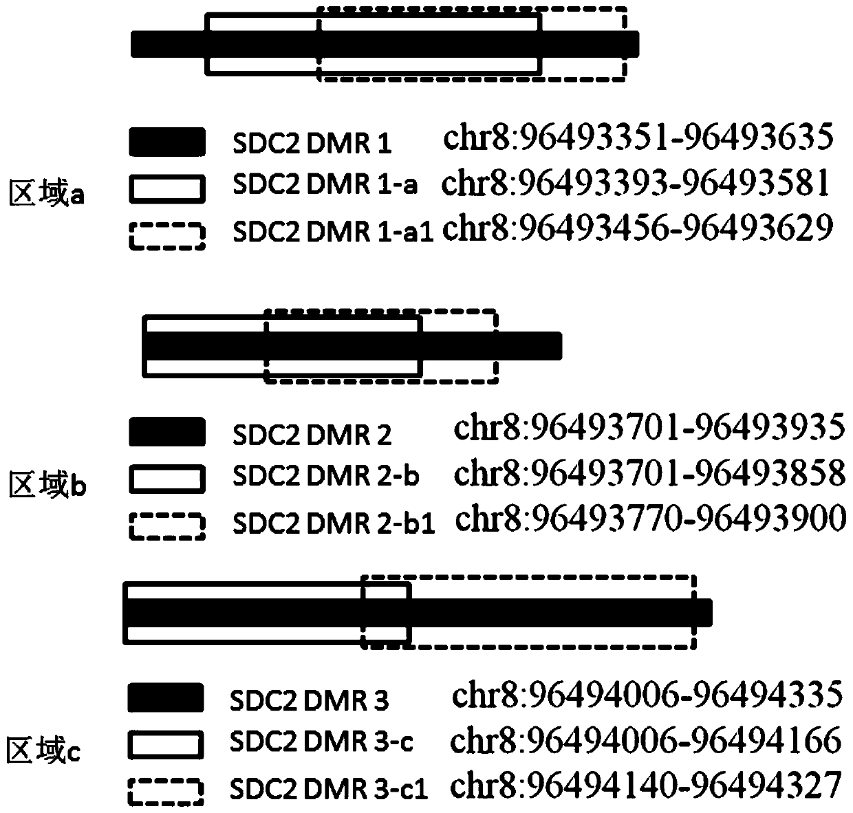 Application of detection reagent for detecting methylation of genes related to colorectal cancer and kit