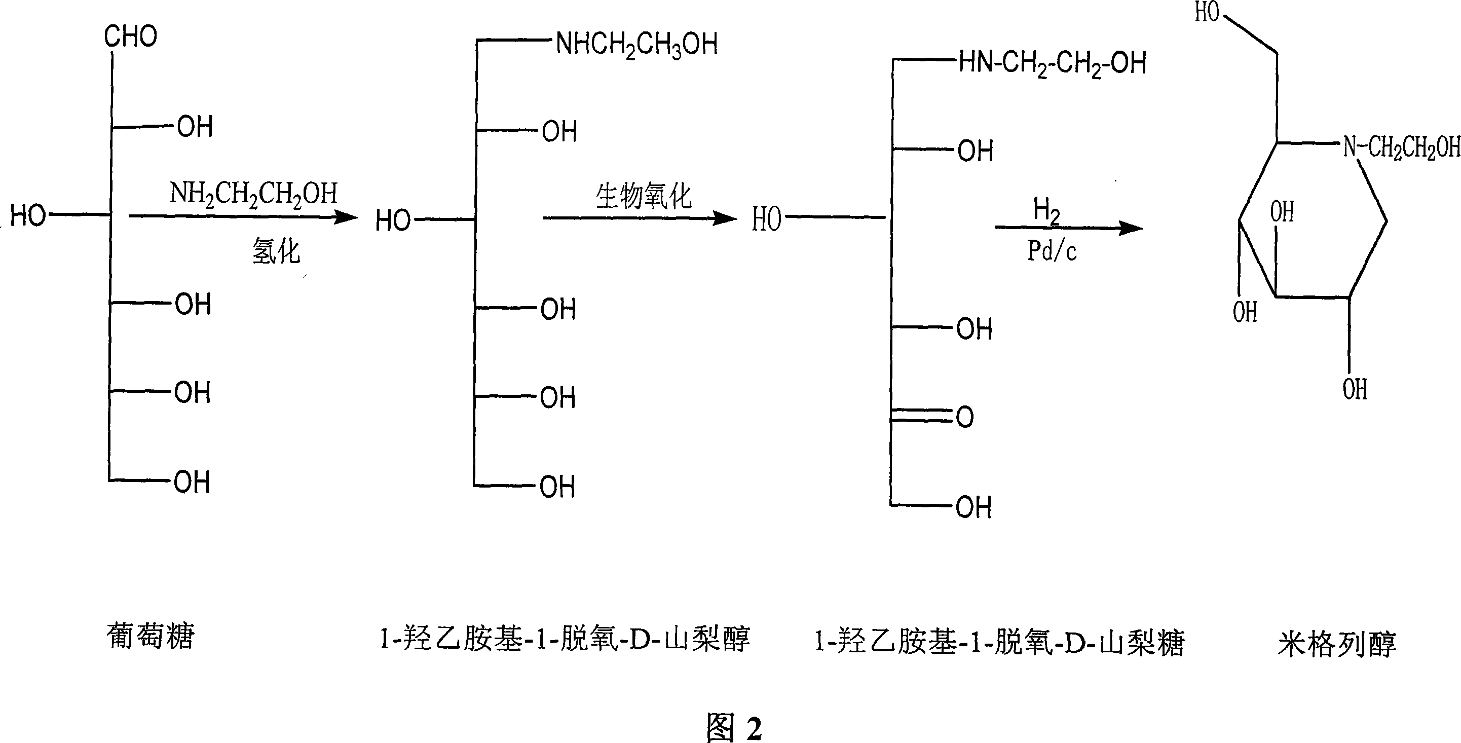 Production of miglitol