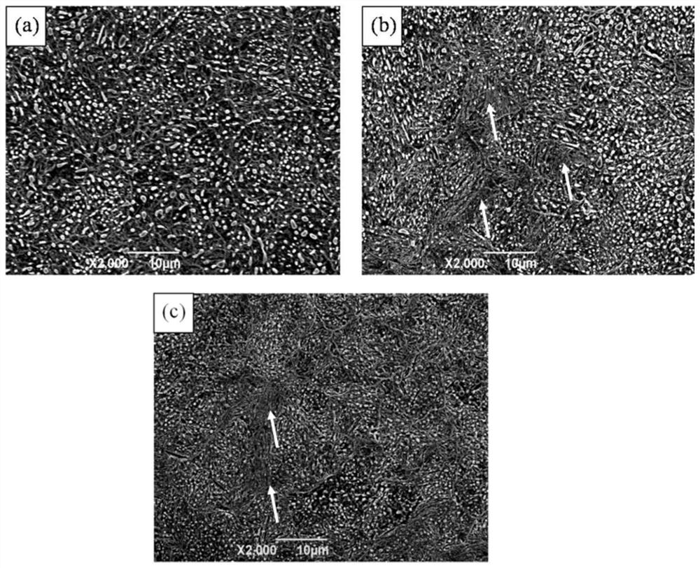 Ultrahigh-carbon bearing steel material for high-speed precision bearing as well as preparation method and application of ultrahigh-carbon bearing steel material