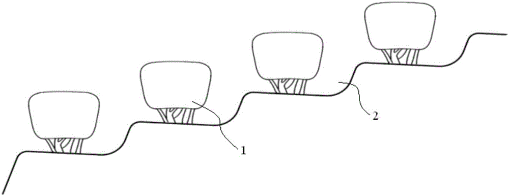 Pruning method of terraced tea tree with stereoscopic picking surface