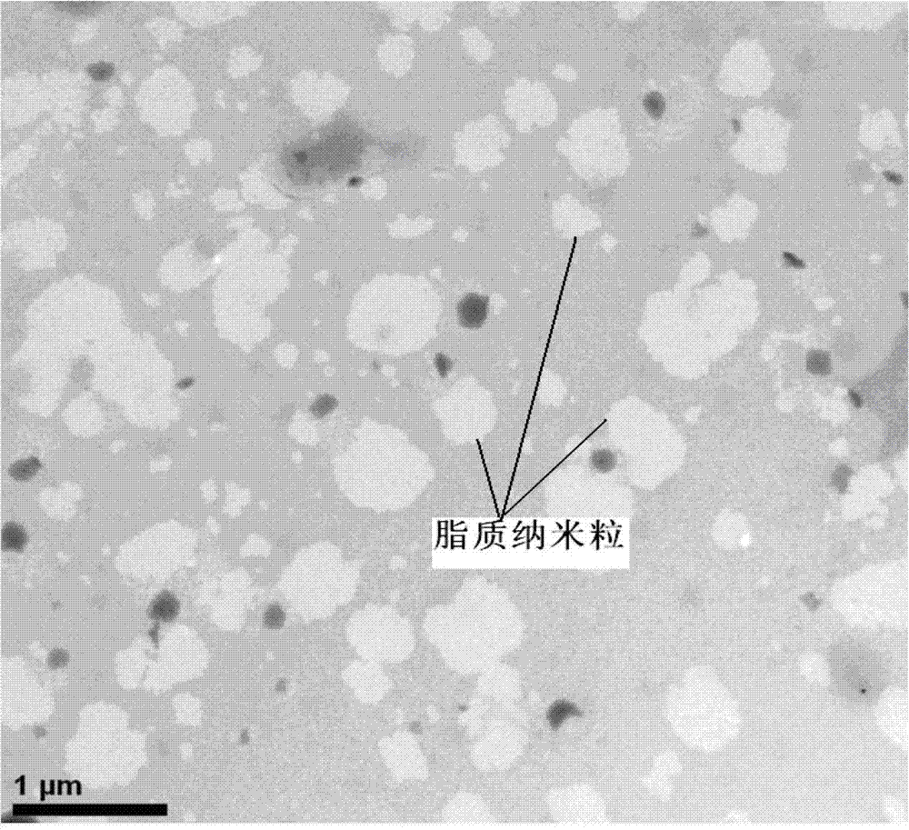 Asiatic acid lipid nanoparticle capable of stimulating oral absorption and preparation method thereof