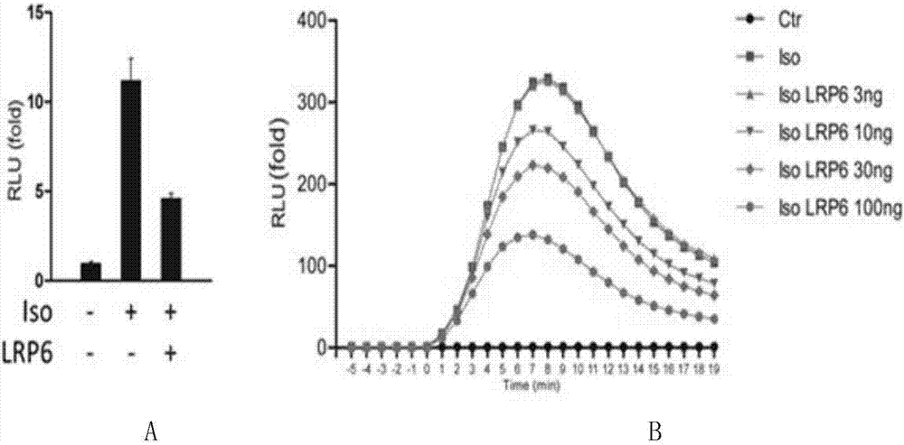 Drug for treating heart failure and protecting cardiac functionality