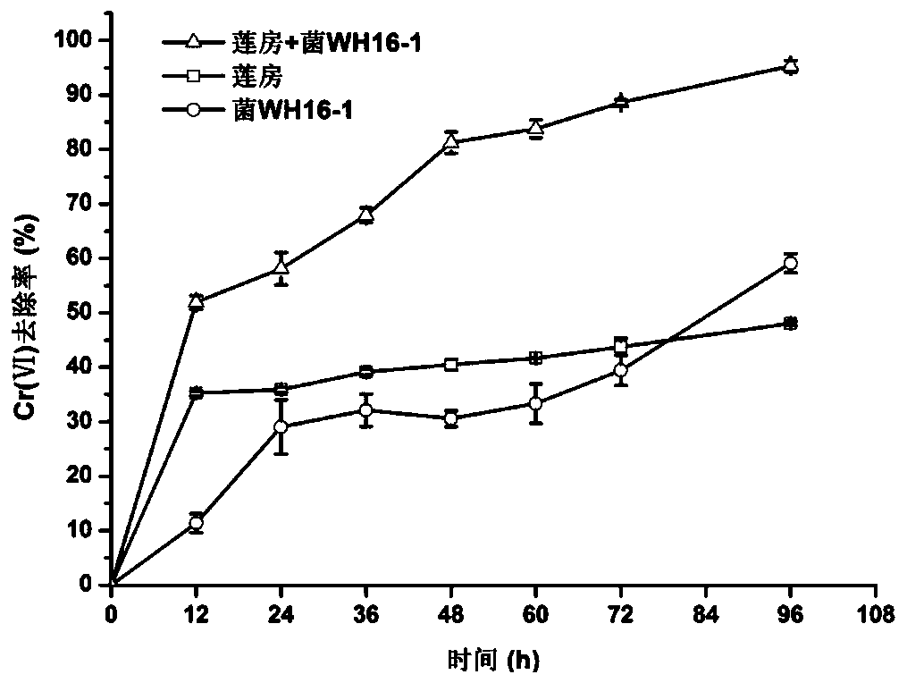 A kind of lotus pod immobilized microorganism and its preparation method and application