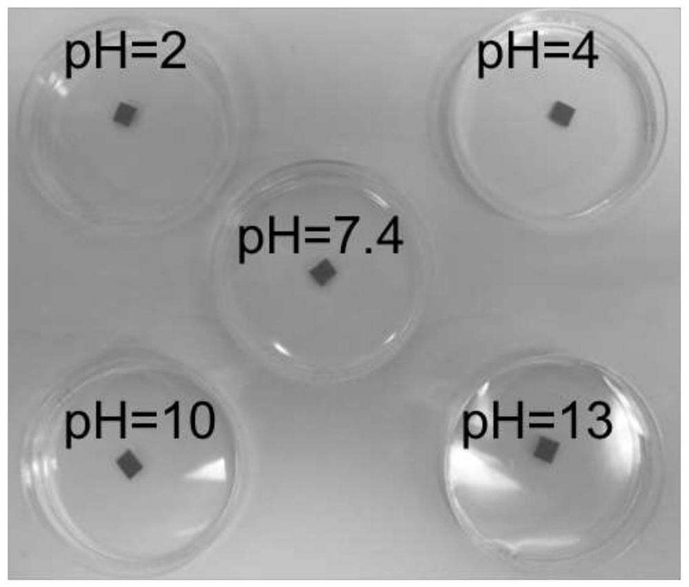 Degradable high polymer material as well as preparation method and application thereof