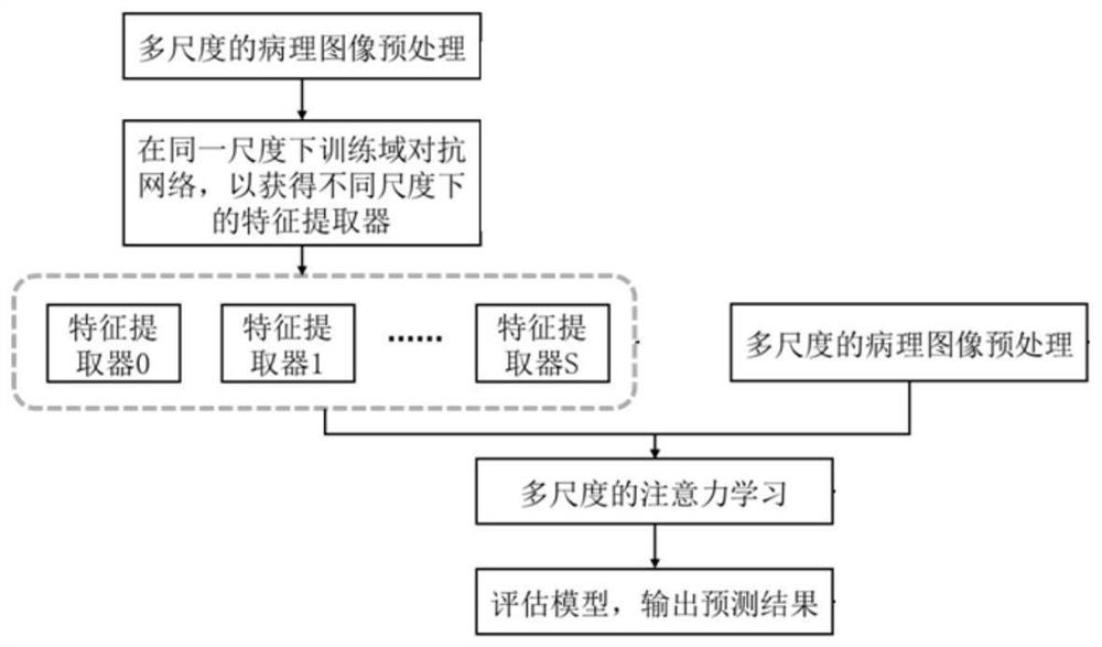 Pathological image classification method and system based on multi-scale domain adversarial network