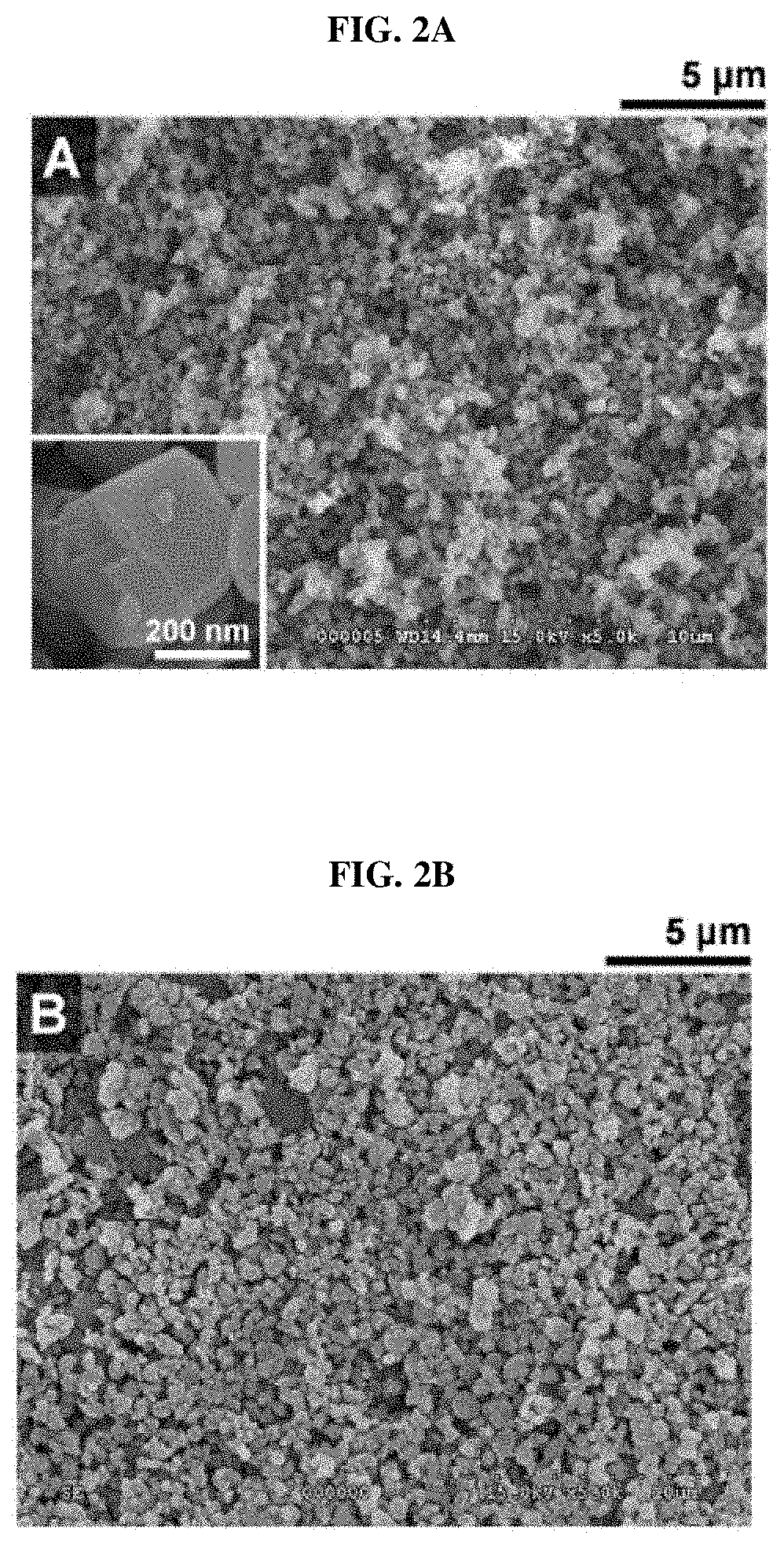 Method of preparing heterogeneous zeolite membranes