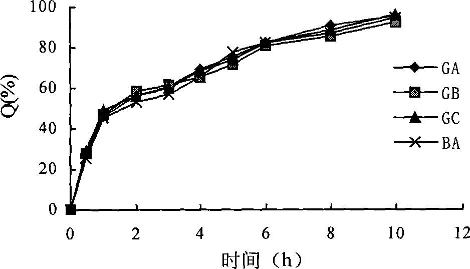Slow/controlled release pellet composition containing ginkgo leaf extracts and preparation method thereof