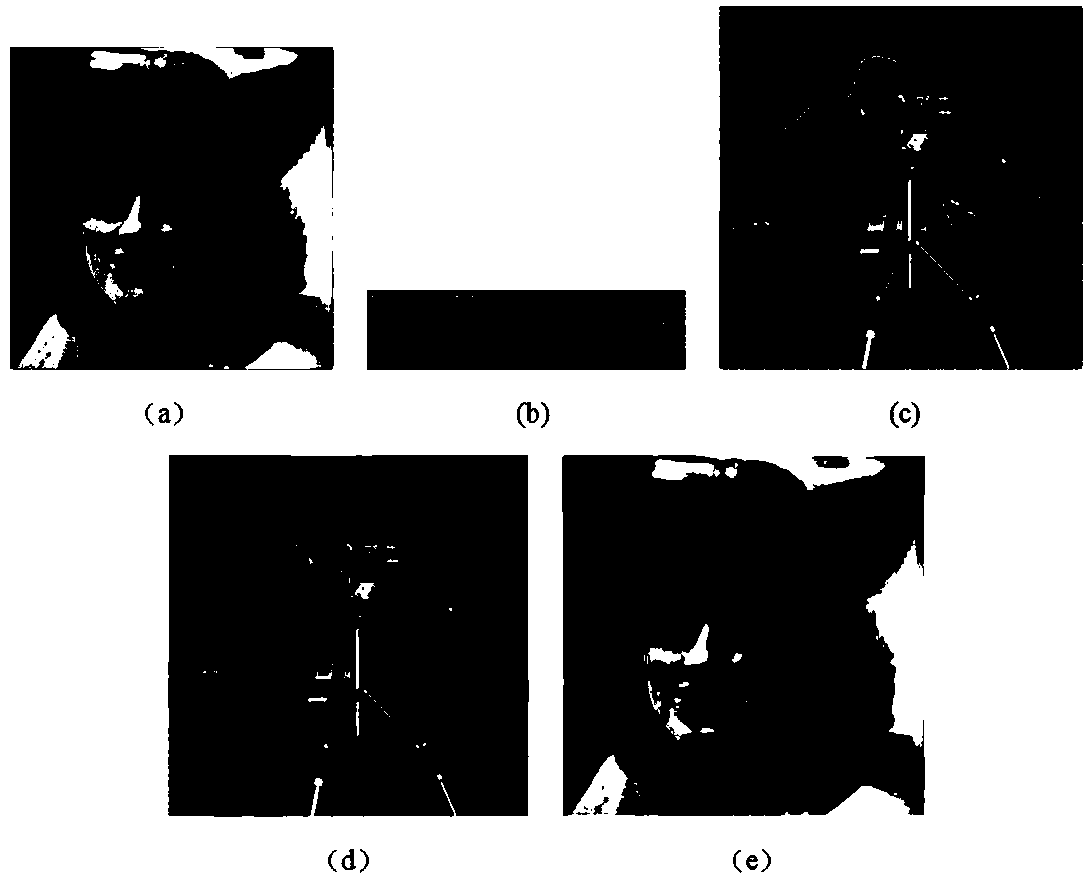 Image encryption method based on compressed sensing and three-dimensional cat mapping