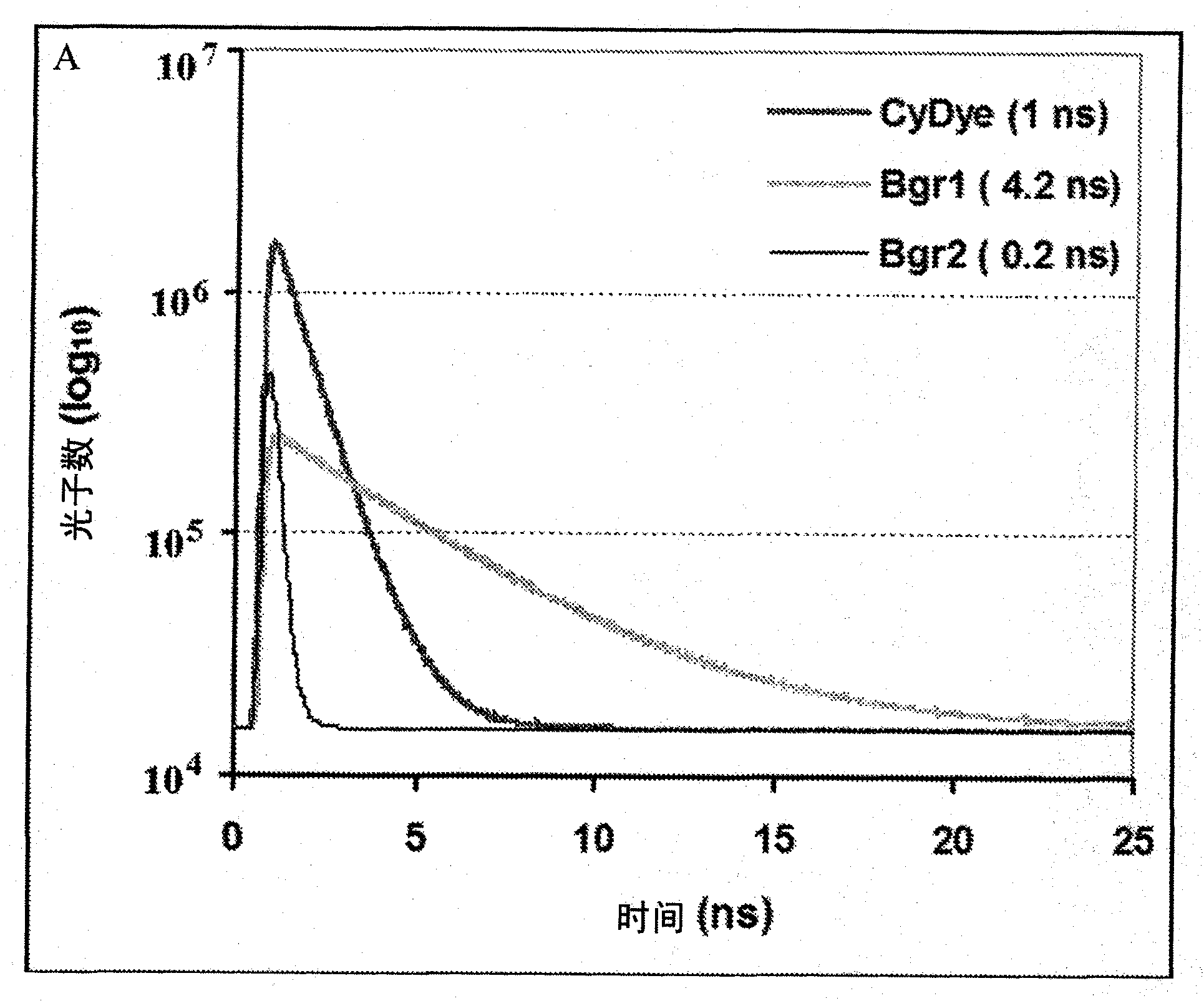 Cumulative time-resolved emission two-dimensional gel electrophoresis