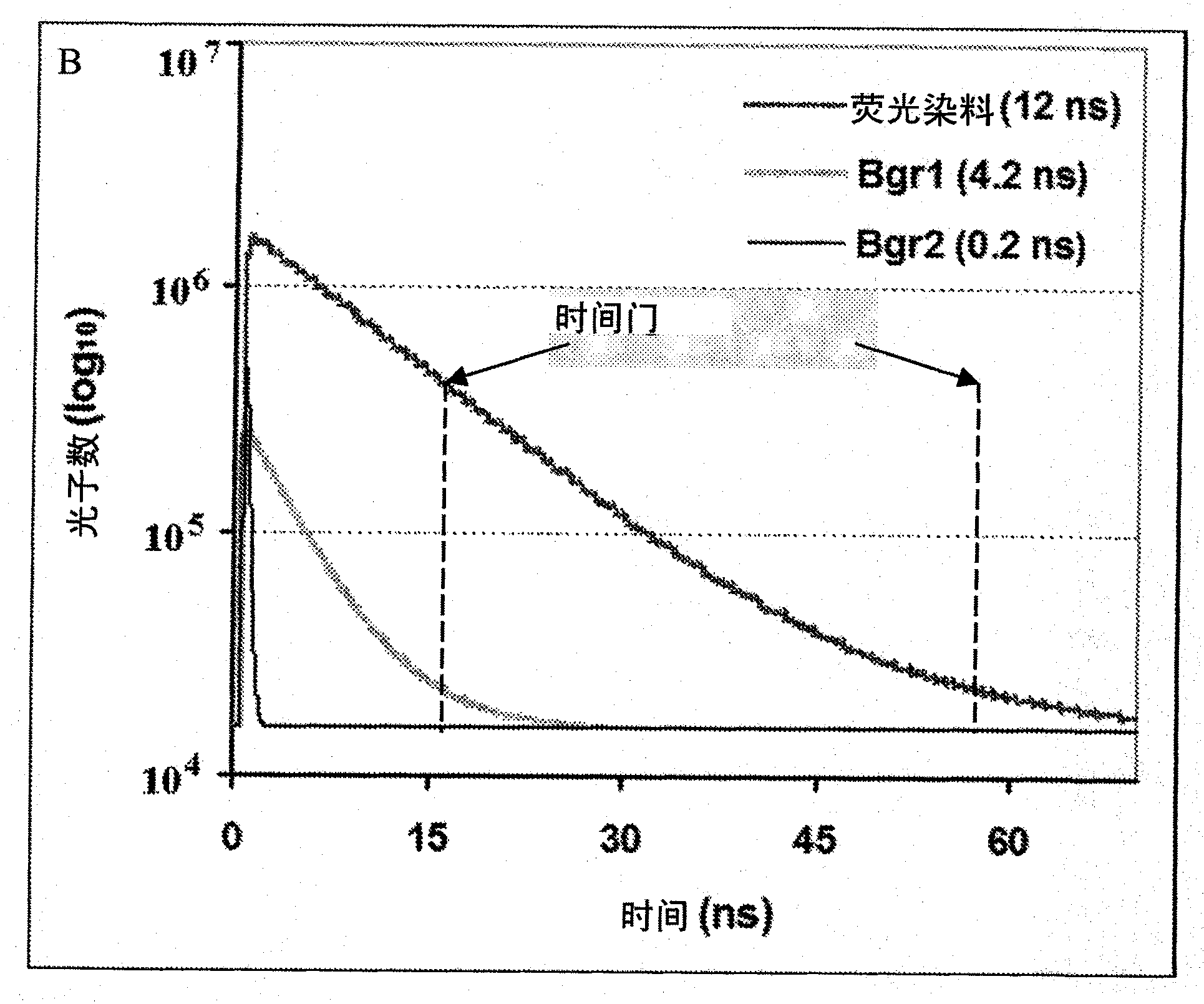 Cumulative time-resolved emission two-dimensional gel electrophoresis